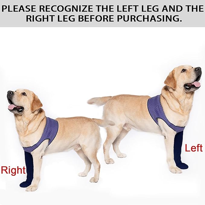 COODEO Dog Socks to Prevent Licking Paws, Healing Boots & Paw Protectors with Non-Slip Bottoms for Wound Protection, Waterproof Sleeve Shoes for Licking（Purple，M_Left-PawvioPets