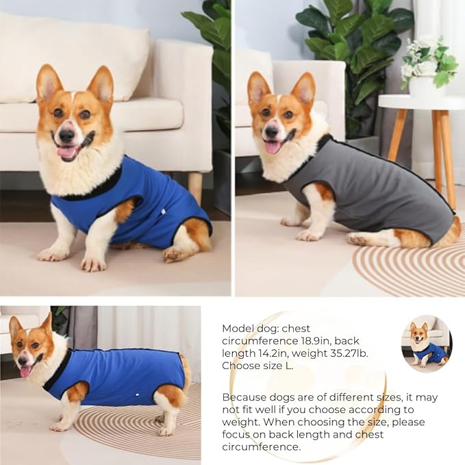 Dog Surgery Recovery Suit,Abdominal Surgical Suit for Dogs,Recovery Suit for Dogs,Prevent Licking Surgical Wound Dog Cone Alternative Blue S-PawvioPets