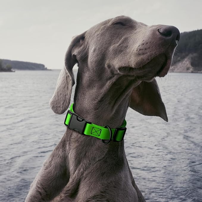 Dogline Biothane Waterproof Dog Collar with Quick Release Buckle Strong Coated Nylon Webbing with Odor- Proof for Easy Care Easy to Clean Fits Small Medium Large Dogs, Lime Green 1" W 15-25" L-PawvioPets