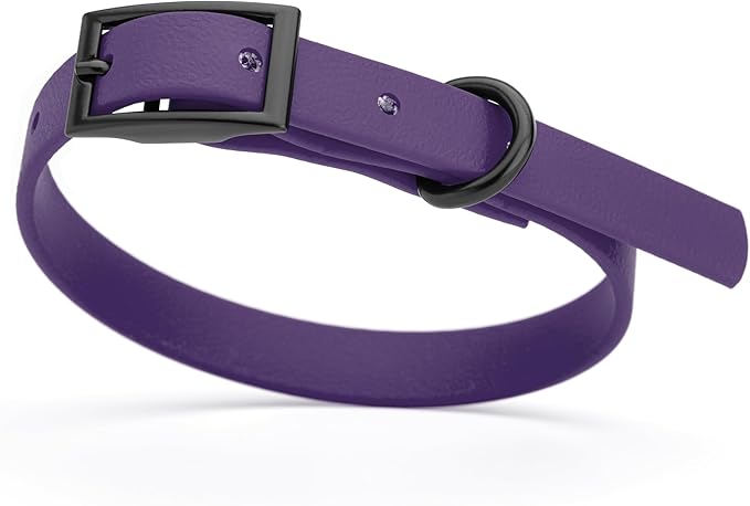 Dogline Biothane Waterproof Dog Collar Strong Coated Nylon Webbing with Black Hardware Odor- Proof for Easy Care Easy to Clean High Performance Fits Small Medium or Large Dogs, Violet Purple-PawvioPets