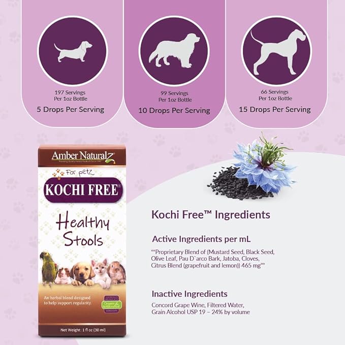 Amber NaturalZ Kochi Free Herbal Supplement for Dogs, Cats, Birds, Guinea Pigs, and Rabbits | Pet Herbal Supplement for Healthy Stool Support | 1 Fluid Ounce Glass Bottle | Manufactured in The USA-PawvioPets