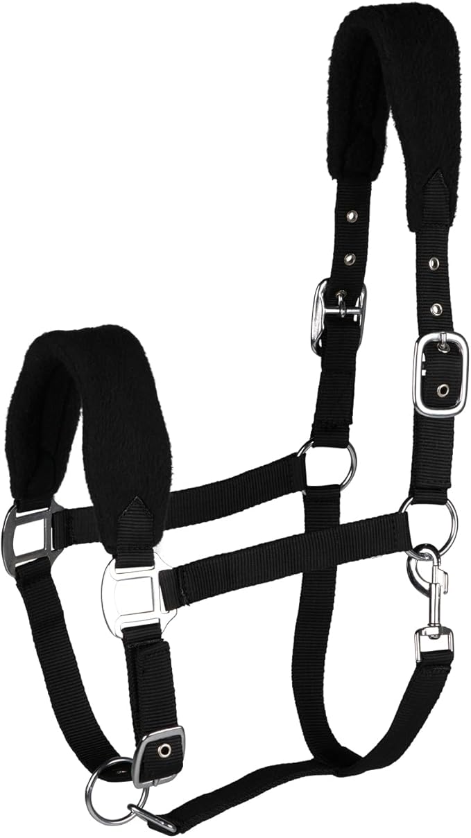 HORZE Kiel Adjustable Horse Halter with Fleece Padding - Black - Warmblood-PawvioPets