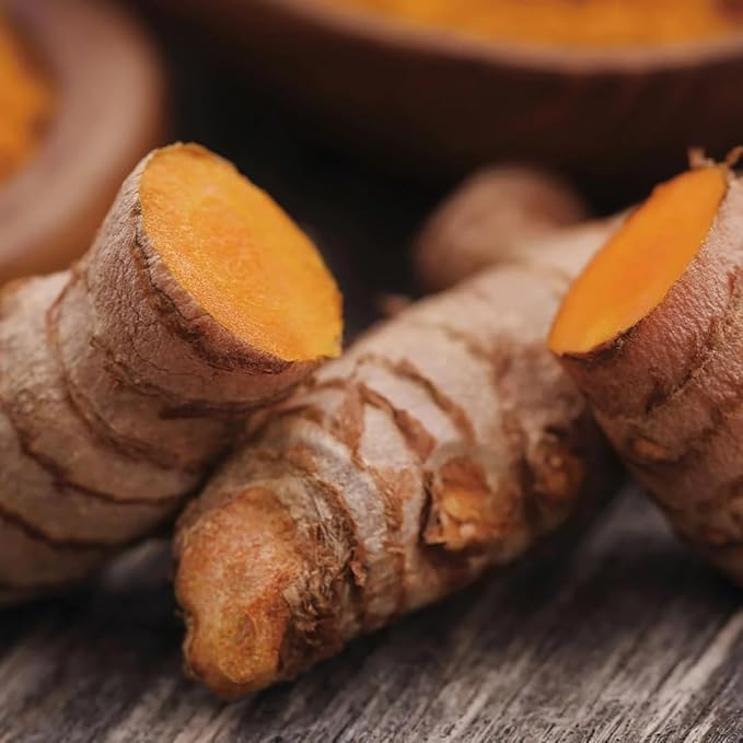 Aromatics International Turmeric Hydrosol 100ml | Earthy Aromatic Spray for Daily Use-PawvioPets