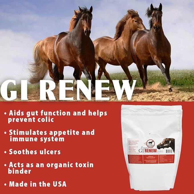 GI Renew, Probiotics for Equine, Immune and Appetite Stimulation, Prebiotics, Digestive Enzymes | Horse Supplement Providing Ulcer Relief and Organic Toxin Binder, 5 LB Pouch-PawvioPets
