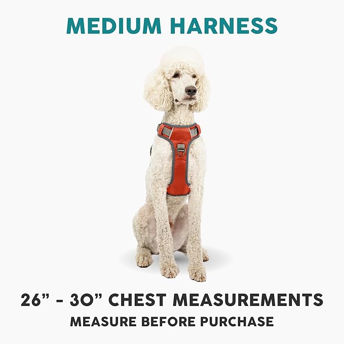 Embark Adventure Dog Harness, Reflective Trim No Pull Dog Harness Medium Sized Dogs - Military Grade Nylon, Front Clip with Gel Lined Handle.-PawvioPets