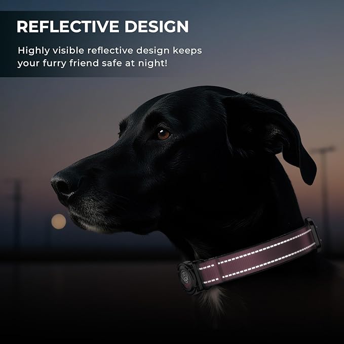2025 Upgrade Airtag Dog Collar, Reflective Dog Collar with Airtag Holder, IP68 Waterproof| Metal Buckle| Ultra-Durable| Comfortable Padded, GPS Dog Collars for Medium Large Dogs (Pink,L)-PawvioPets