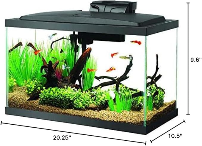 Aqueon Aquarium Fish Tank Starter Kit with LED Lighting 10 Gallon Fish Tank-PawvioPets