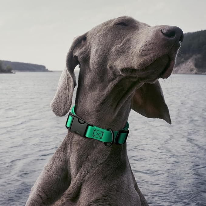 Dogline Biothane Waterproof Dog Collar with Quick Release Buckle Strong Coated Nylon Webbing with Odor- Proof for Easy Care Easy to Clean Fits Small Medium Large Dogs, Teal 5/8" W 9-14" L-PawvioPets