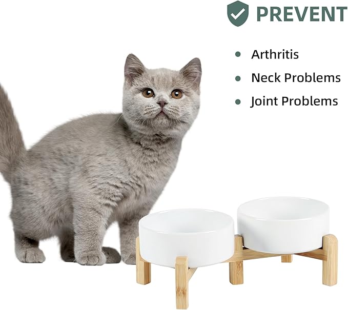 Ceramic Raised Double Bowls Set with Stand, 2 Heights Elevated, Food & Water Bowls for Small Breed Dogs, Cats, Kitty, Weighted Dog Dishes, Pet Bowls(5.1'',13.5oz, White)-PawvioPets