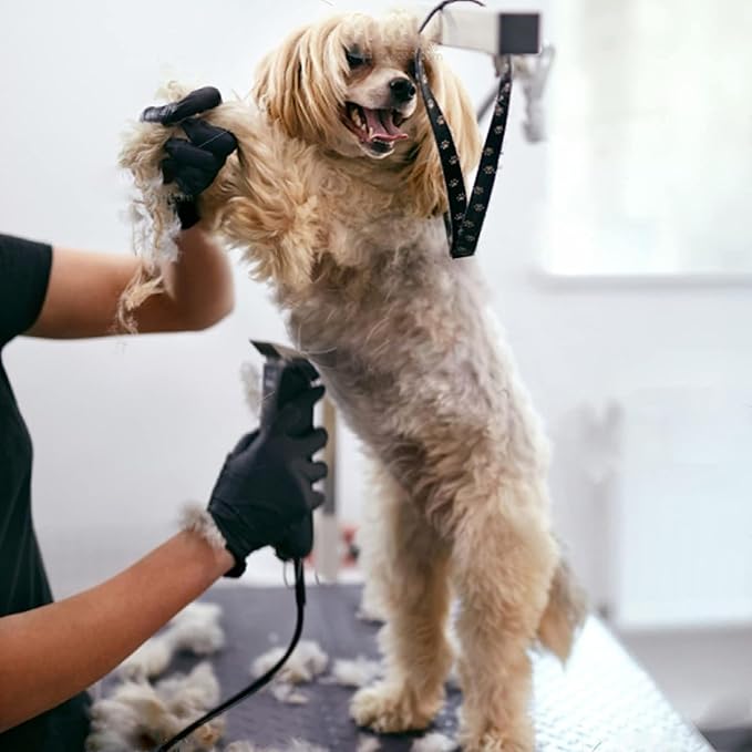 Audoc 3Pcs 40 Blade Dog Grooming Clipper Replacement Blades Compatible with Wahl/Oster Dog Clippers,Detachable Ceramic Blade & Stainless Steel Blade,Size 40 Cut Length 1/100"(0.25mm)-PawvioPets