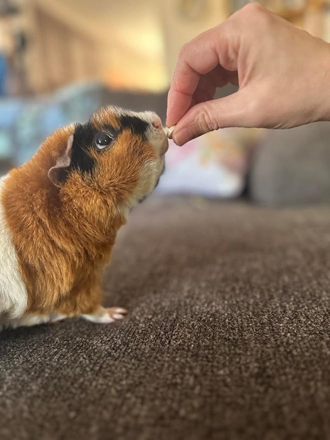 Digestive Support, Papaya by Sherwood Pet Health (100 Tablets - 60 Grams). Contains Natural Motility Herbs That Regulate The Digestive Tract, Improve The Gut microbiome and Stimulate The Appetite.-PawvioPets