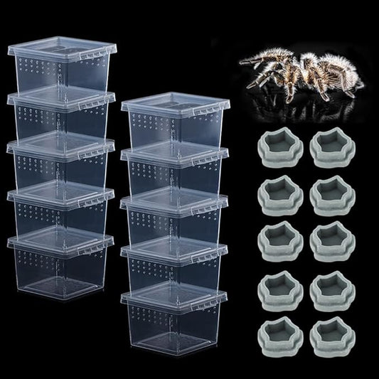 10 Pack Small Size Spider Terrariums Breeding Box Hatching Container Insect Scorpion Centipede Acrylic Breeding Box (with 10 Pcs Micro Water Bowl-PawvioPets