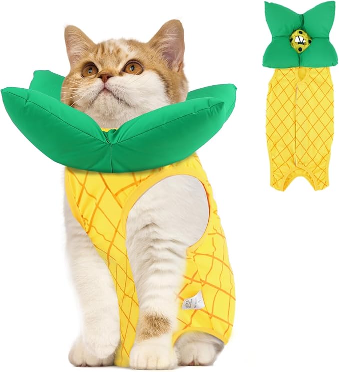 EMUST Cat Recovery Suit and Cat Cone Collar Set, Soft kittens Onesie for Cats After Surgery Female, Cute Kitten Surgery Recovery Suit Female, Cone of Shame Alternative for Kittens Under 4lb, Yellow, S-PawvioPets