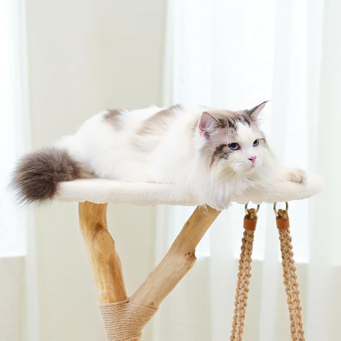 50" Tall Cat Tree Tower, Modern Cat Tree for Indoor Cats, Washable Wooden Perchs and Climbers for Large Cats, Cute Cat Furniture with Unique Cat Swing-PawvioPets
