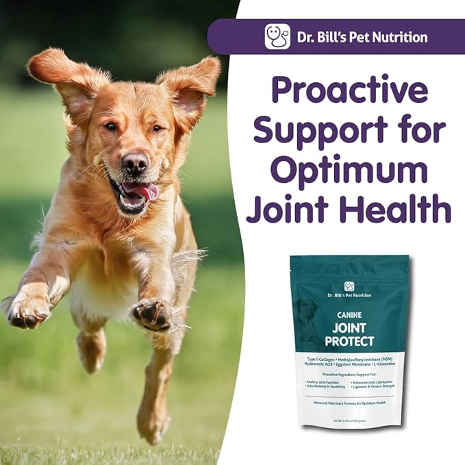 Dr. Bill’s Canine Joint Protect | Joint Support for Dogs | Pet Supplement for Ligament & Tendon Strength | Collagen Type II, Hyaluronic Acid, Eggshell Membrane and L-Glutamine-PawvioPets