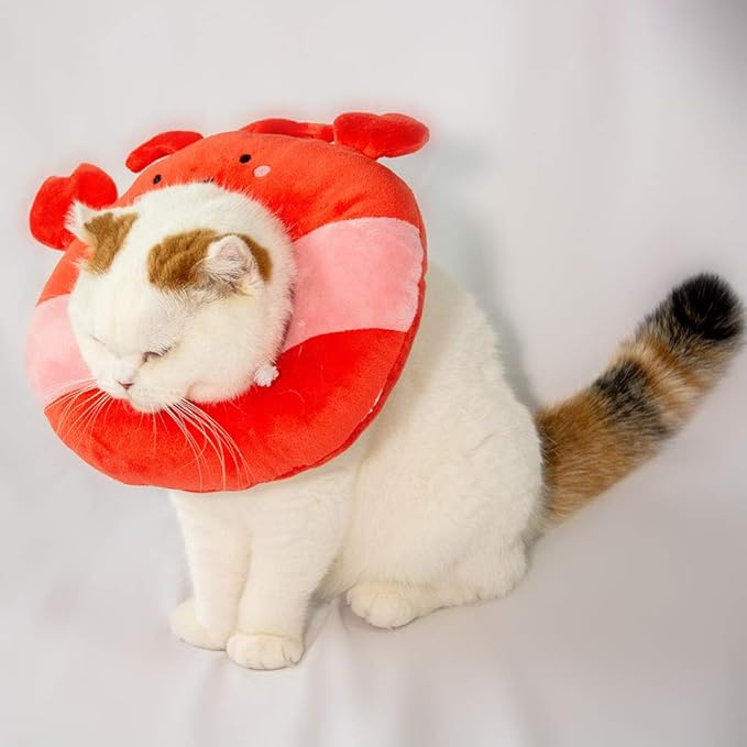 Adjustable Cat Recovery Collar Soft,Cute Pet E-Collar Neck Cone After Surgery Wound Healing Protective Cone Fit for Kitties, Small Dogs(ELC05-lobster-m)-PawvioPets