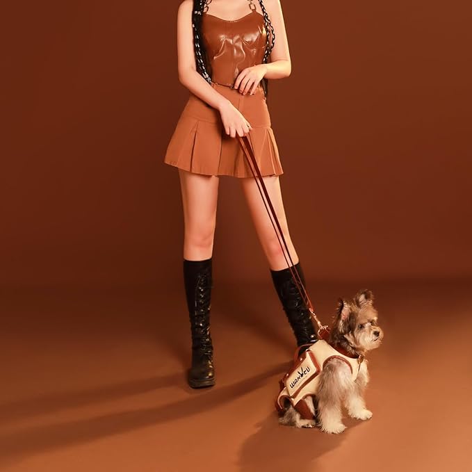 Dog Lift Harness Dog Carrier VES Harness Adjustable Leash with Small Puppy Treat Bag,Fits Most Cars,M-PawvioPets