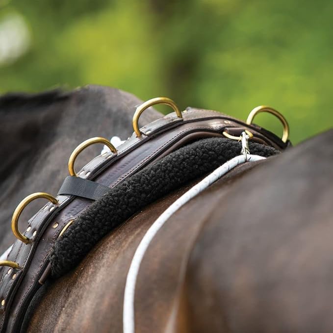 Advanced European Training System | Advanced Training Tool | Enhances Horse Carriage and Headset | Encourages Forward Movement | Strengthens Key Muscles | Not for Beginners-PawvioPets