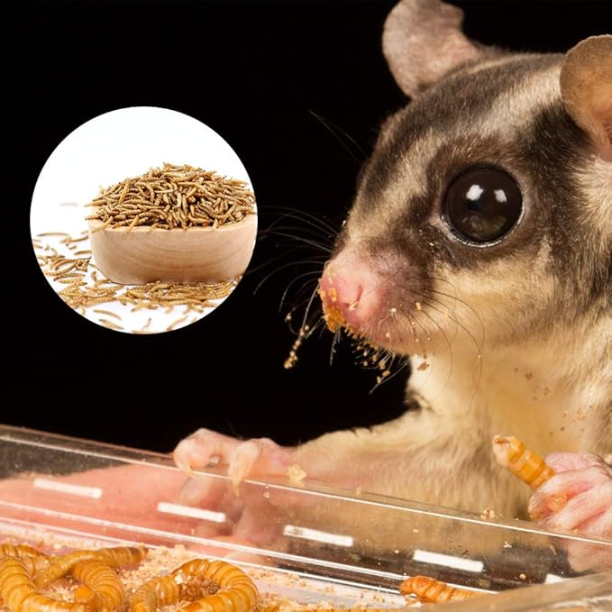 20lbs Mealworms, High-Protein Dried Mealworms for Birds, Chickens, Turtles, Fish, Hamsters and Hedgehogs, Non-GMO and Chemical Free, All Natural Animal Feed-PawvioPets