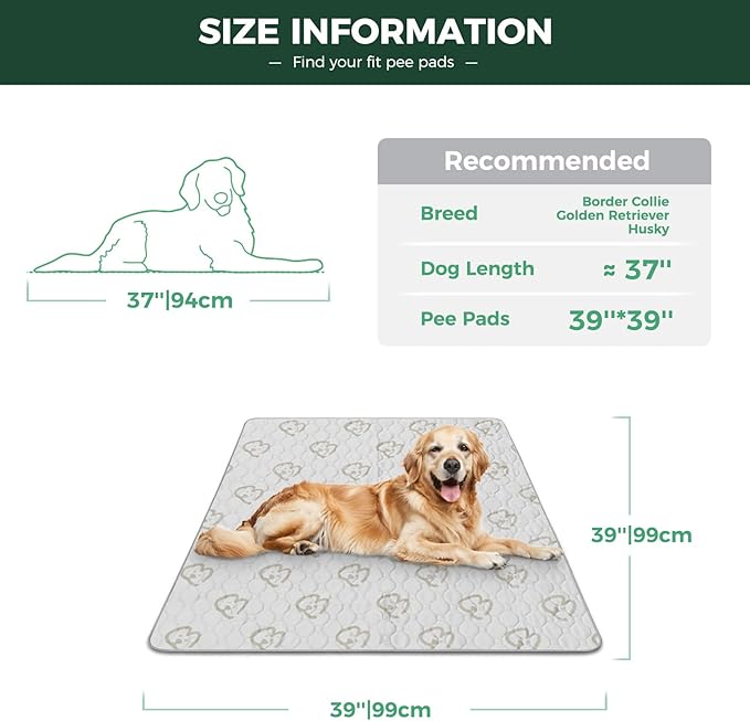 FXW Washable Pee Pads for Dogs, Puppy Pads with Super Absorbent, Specifically Designed for Potty Training, 39" Square, Khaki, 1 Pack-PawvioPets