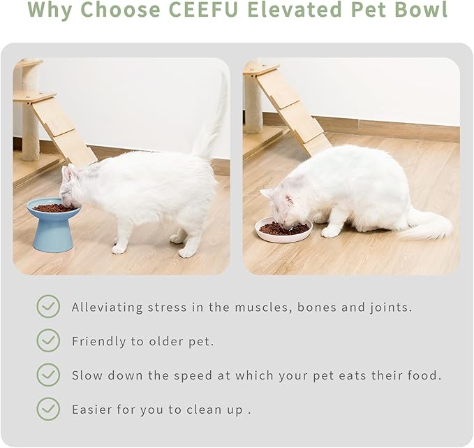 Extra Wide Elevated Ceramic Cat Bowl, 6.2" Shallow Dish for Whisker Fatigue Relief, 5" Height for Easy Feeding, Durable Raised Cat Food Bowls, Pack of 2, Blue-PawvioPets