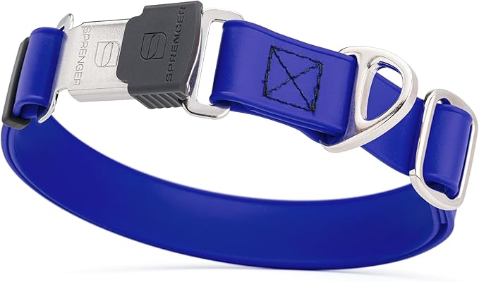 Dogline Biothane Waterproof Dog Collar with Herm Sprenger Stainless Steel Quick Release Buckle – Heavy Duty Tactical Durable Collar for Dogs – Comfortable and Safe Pet Collar W 1" L 15-25" Blueberry-PawvioPets