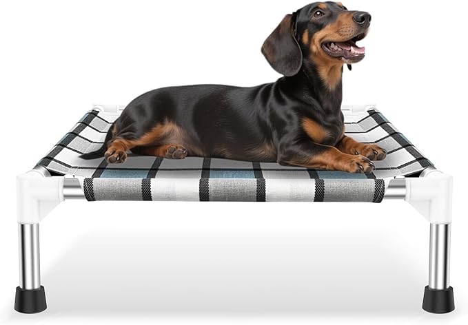 Elevated Outdoor Raised Dog Bed Outdoor Dogs Bed Lifted Pet Bed Dog Cot for Pet Taste Life, Start with A Pet Bed 20'' x 20'' x 6.5''-PawvioPets