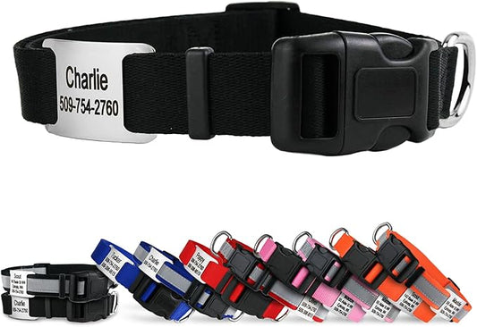 GoTags Personalized Dog Collar with Nameplate, Adjustable Dog Collar with Custom Engraved Slide On Pet ID Tag in Stainless Steel, Silent, No Noise Dog Tag for Large Medium and Small (Black, Small)-PawvioPets