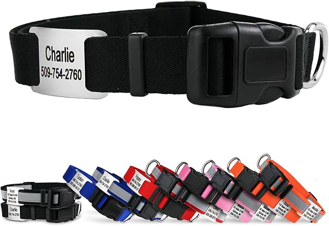 GoTags Personalized Dog Collar with Nameplate, Adjustable Dog Collar with Custom Engraved Slide On Pet ID Tag in Stainless Steel, Silent, No Noise Dog Tag for Large Medium and Small (Black, X-Small)-PawvioPets