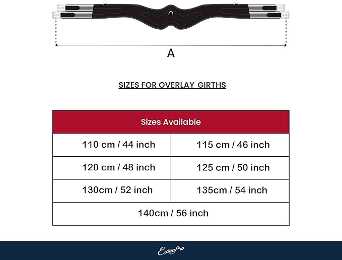 Exion Designer Anatomic Snap Over Lay Girth | Comfortable Leather Horse Girth for English Saddles | Jumping & Riding-PawvioPets