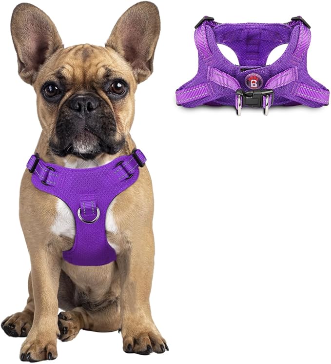 Dog Harness Step in Dog Vest Harness, Reflective Adjustable Puppy No Pull Harness Breathable Soft for Small and Medium Dogs Cats, Purple, S-PawvioPets