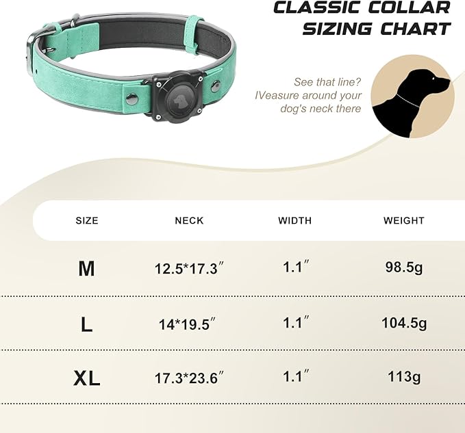 AirTag Dog Collar - Leather Dog Collar with Air Tag Holder | IPX8 Waterproof, Reflective, High - End, Adjustable Soft Padded | Dog GPS Tracker Collars Fit for Medium Large Dogs (Teal, M)-PawvioPets