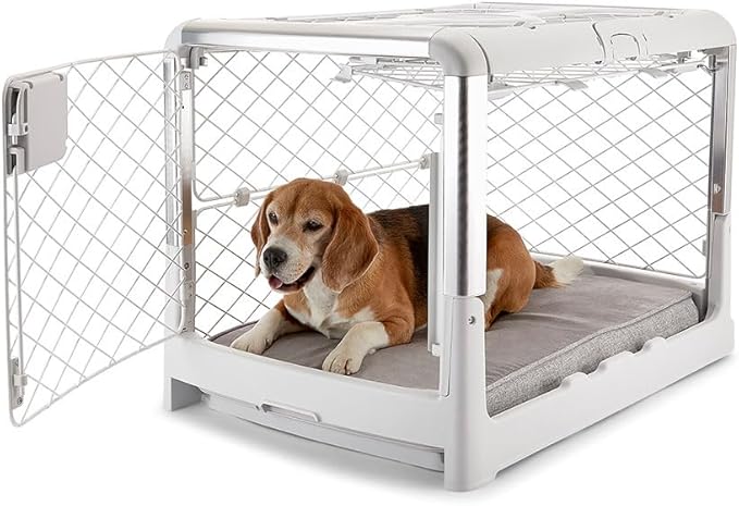 DIGGS Revol Collapsible Dog Crate with Wheels - Premium Portable Dog Crate - Safe, Stylish, and Convenient Indoor Kennel (Ash, Medium)-PawvioPets
