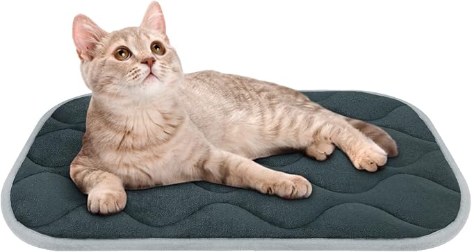 furrybaby Dog Bed Mat Flat Crate Mat with Anti-Slip Bottom Machine Washable Pet Kennel Pad for Dog Sleeping (XS 22x13'', Grey Mat)-PawvioPets