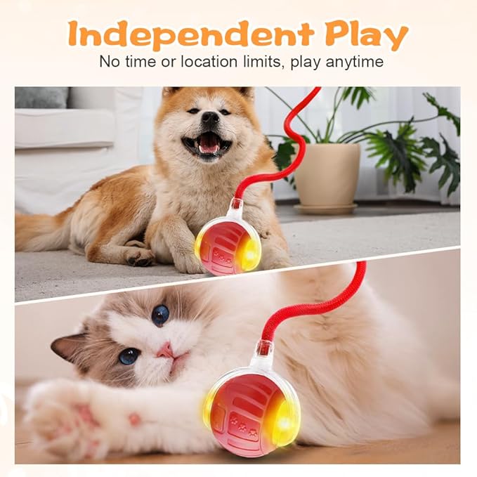 2026 New Interactive Pet Toy Ball, Smart Interactive Toy Ball for Cats & Dogs, Electric Rolling Pet Toy Ball, Rechargeable Interactive Cat Toys for Bored Indoor Cats Kittens to Keep Busy (Gray)-PawvioPets