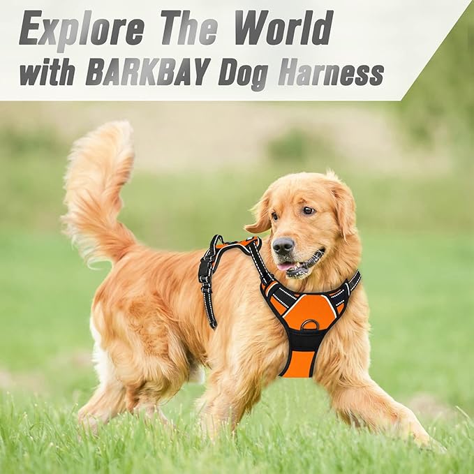 BARKBAY No Pull Dog Harness Front Clip Heavy Duty Reflective Easy Control Handle for Large Dog Walking(Orange,S)-PawvioPets