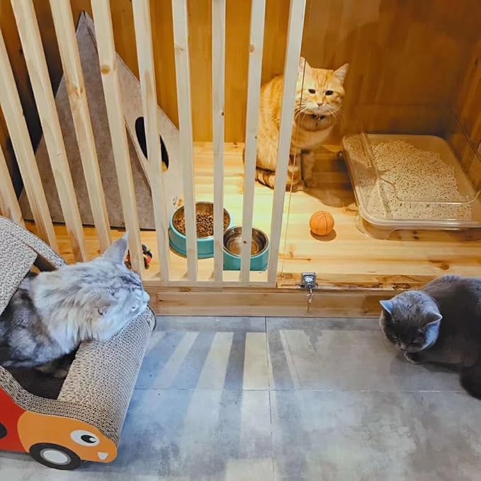 Disposable Litter Boxes for Kittens - Multi-Value (15 Pack), Kitten, Rabbit, and Senior Cat, Shallow, Small, Sanitary Must-Have 16.5 x 12.5 x 2 in.-PawvioPets