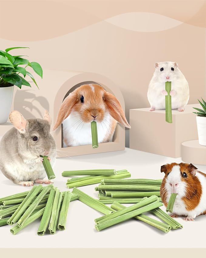 Bissap 50PCS Rabbit Chew Sticks, Natural Papaya Stems Bunny Chews Treats for Rabbits Hamsters Chinchillas Guinea Pigs Small Animals Organic Molar Chewing Snack-PawvioPets