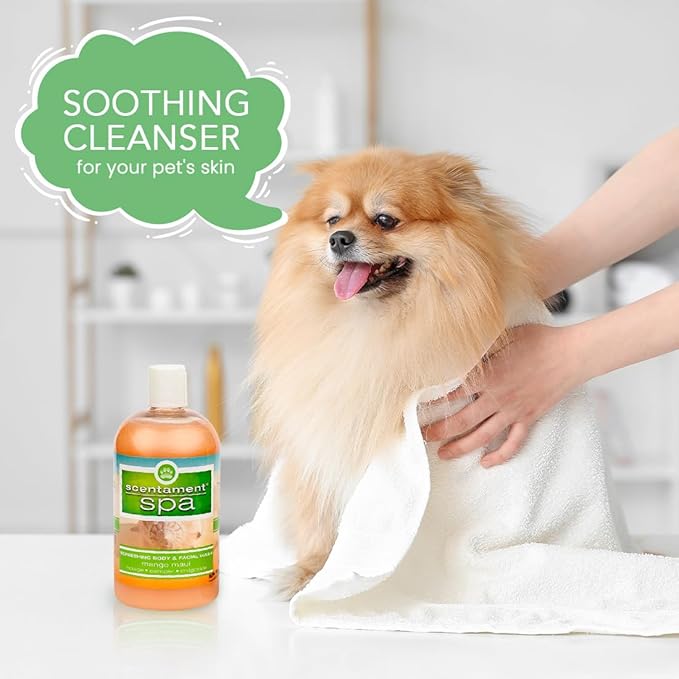 Best Shot Scentament Spa Seasonal Facial & Body Wash, Mango Maui, 16 oz-PawvioPets