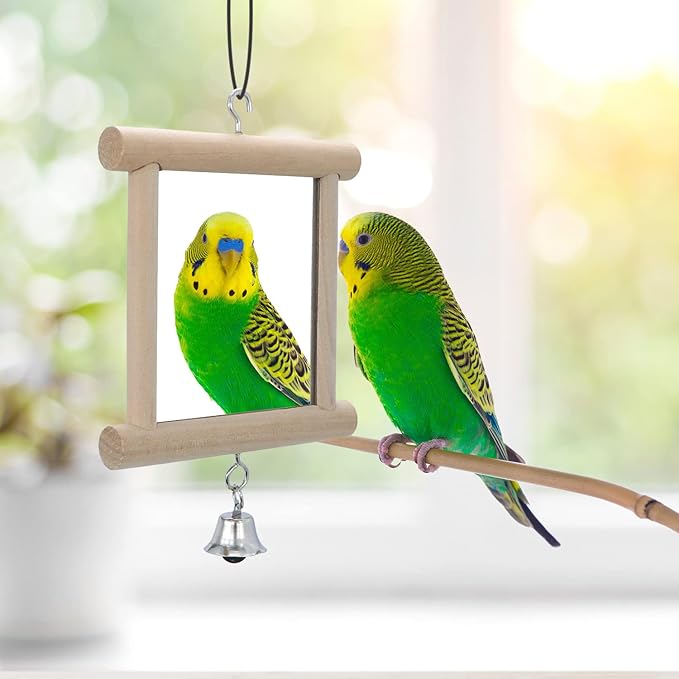 4 PCS Bird Mirror with Bell Parrot Hanging Interactive Playing Toy for Cockatiel Parakeets Canaries Budgie Cage Accessories-PawvioPets