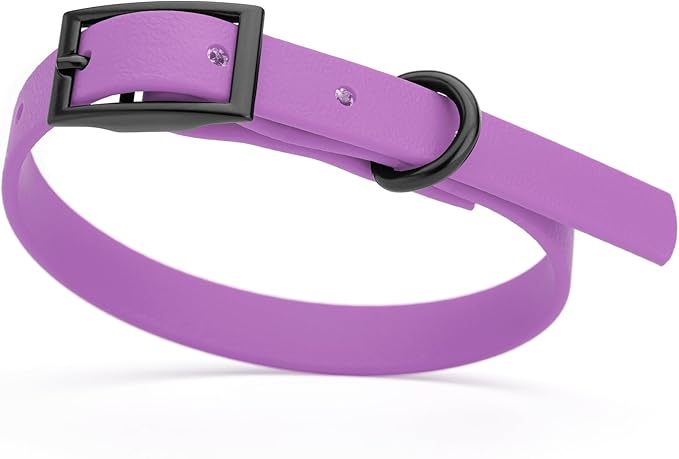 Dogline Biothane Waterproof Dog Collar Strong Coated Nylon Webbing with Black Hardware Odor- Proof for Easy Care Easy to Clean High Performance Fits Small Medium or Large Dogs, Amethyst Purple-PawvioPets