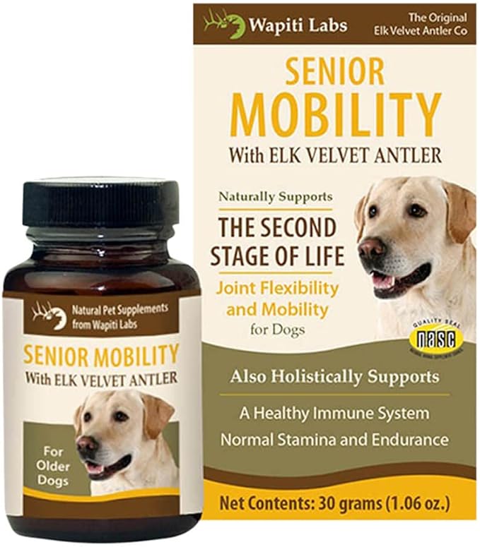 Dog Senior Mobility Formula, 30 gm-PawvioPets