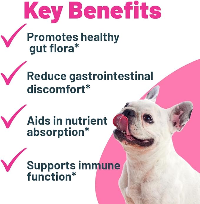 Buddy Biotics Probiotic + Prebiotic for Dogs- Gut Flora Health, Digestive and Immune Health, Diarrhea and Bowel Support – 5 Billion CFU per Scoop-PawvioPets