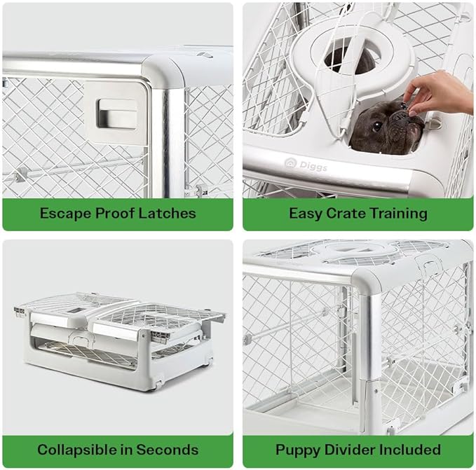 DIGGS Revol Collapsible Dog Crate with Wheels - Premium Portable Dog Crate - Safe, Stylish, and Convenient Indoor Kennel (Ash, Small)-PawvioPets