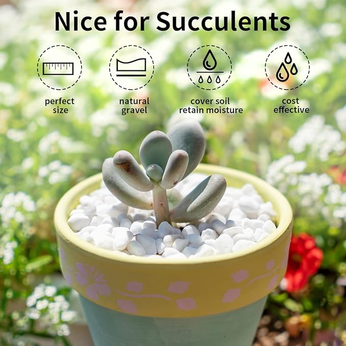 10LB Natural Succulent Gravel Decorative White Rocks - 3/8'' Small White Pebbles for Plants, Decorative Stones, Succulent Rocks Pebbles for Planter, Aquarium Pea Gravel for Landscaping-PawvioPets