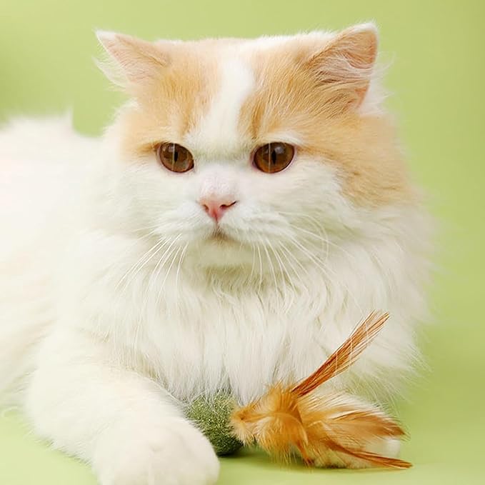 5 Pieces of Catnip Toys Ideal Catnip Ball to Stimulate Cat Exercising and Interacting Toys for Cats-PawvioPets