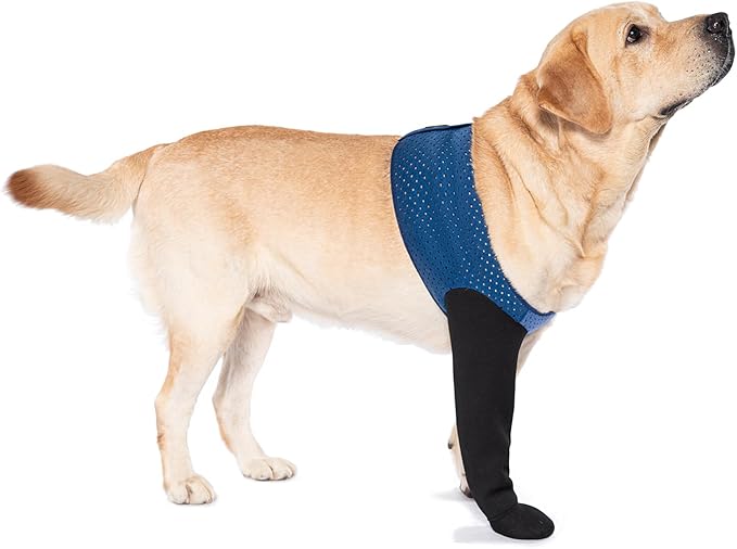 COODEO Dog Socks to Prevent Licking Paws, Healing Boots & Paw Protectors with Non-Slip Bottoms for Wound Protection, Waterproof Sleeve Shoes for Licking（Blue，XL_Left-PawvioPets