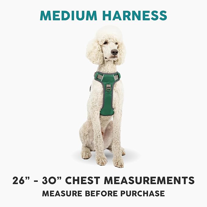 Embark Adventure Dog Harness, Reflective Trim No Pull Dog Harness Medium Sized Dogs - Military Grade Nylon, Front Clip with Gel Lined Handle.-PawvioPets