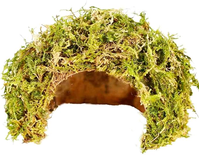 Coconut Hamster Hideout Hamster House Gerbil Cage for Small Animals with a Bundle of Apple Sticks a Carrot (Green)-PawvioPets