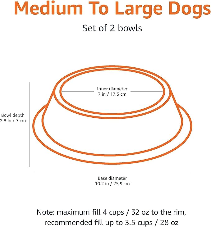 Amazon Basics Stainless Steel Dog Bowl, Single-PawvioPets